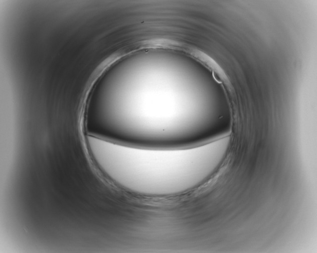 X0000099380946200805081156