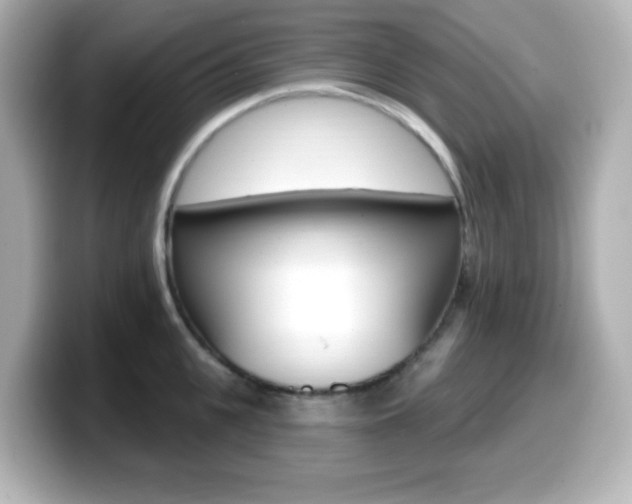 X0000099380951200805081156