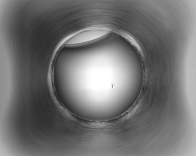 X0000099380952200805081156