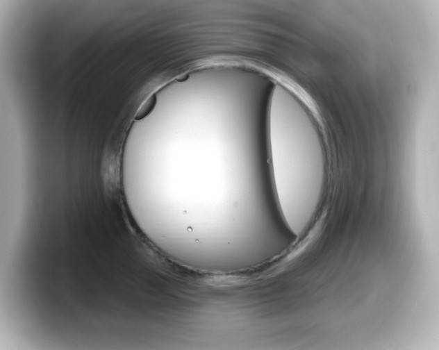 X0000099380953200805081156