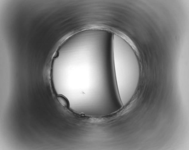 X0000099380954200805081156
