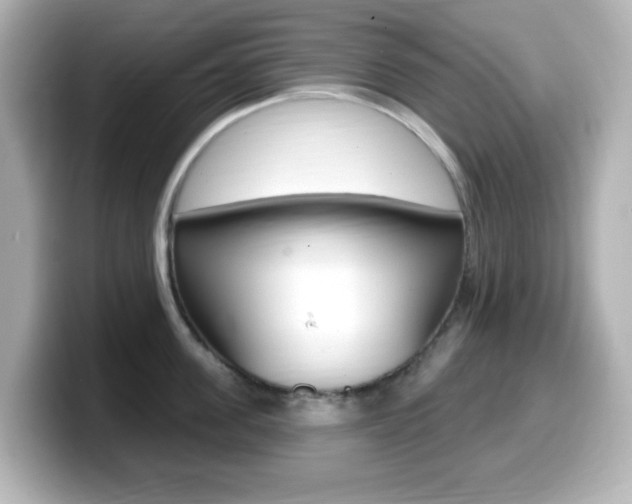 X0000099380955200805081156