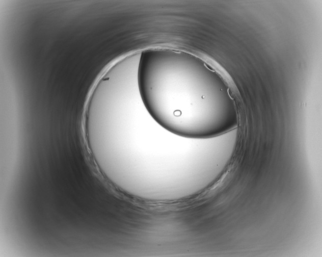 X0000099380956200805081156