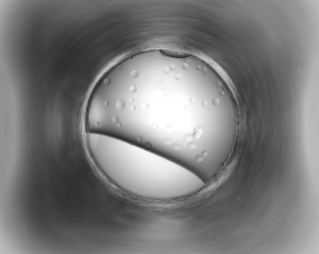 X0000099380957200805081156
