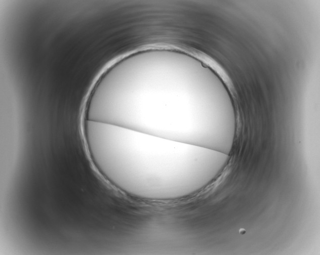 X0000099380958200805081156