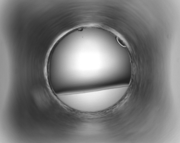 X0000099380959200805081156