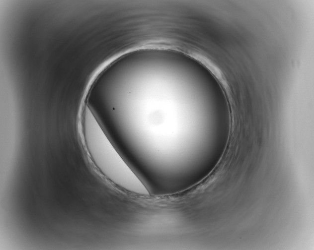 X0000099380960200805081156