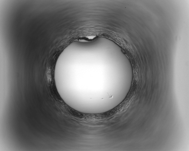 X0000099380962200805081156