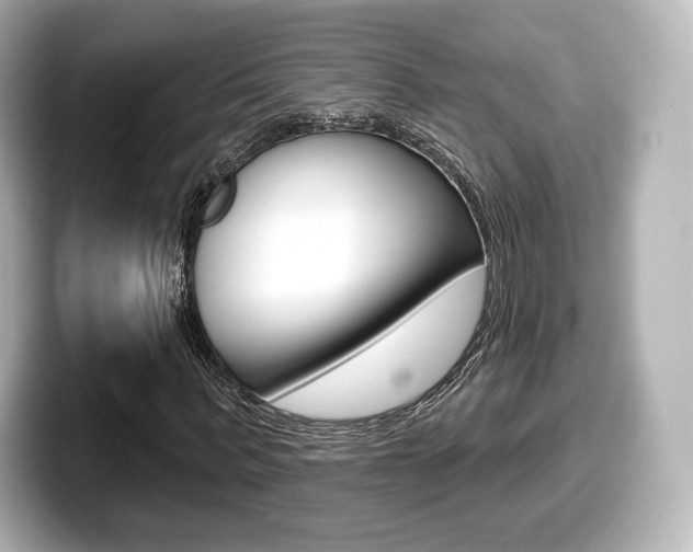 X0000099380963200805081156