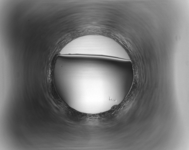 X0000099380964200805081156