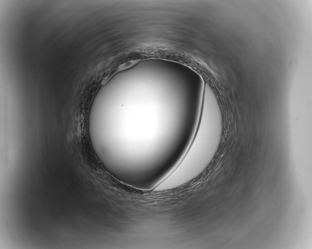 X0000099380965200805081156