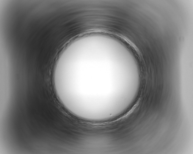 X0000099380969200805081156