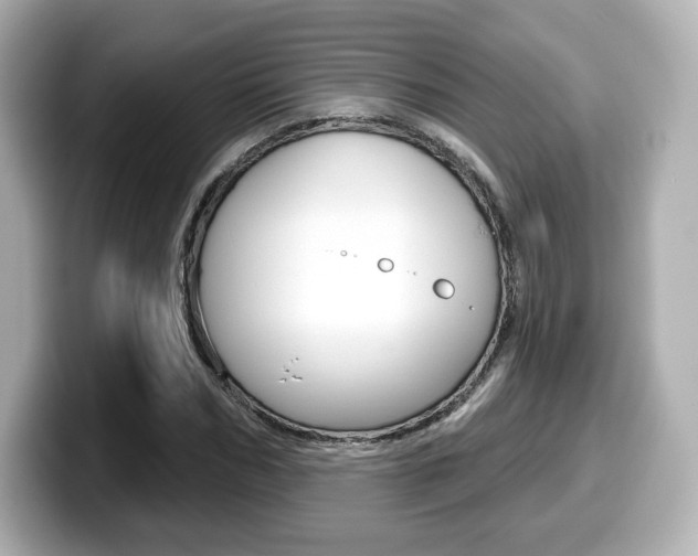 X0000099380970200805081156