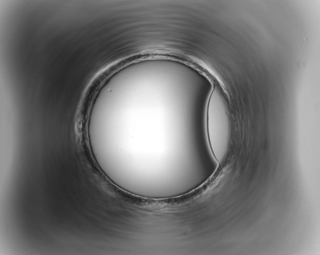 X0000099380971200805081156