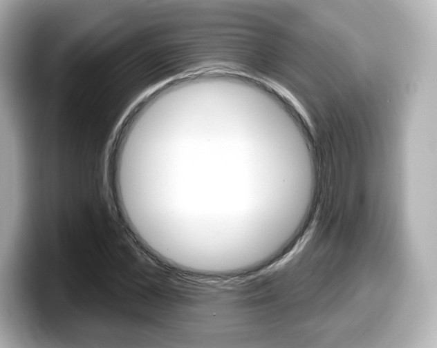 X0000099380973200805081156