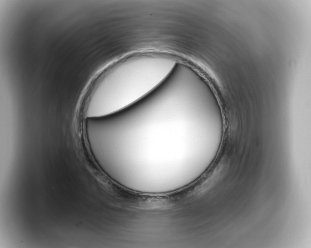X0000099380974200805081156
