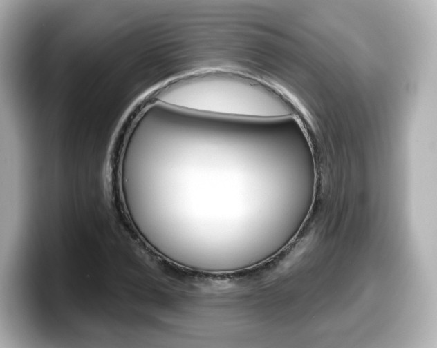 X0000099380975200805081156