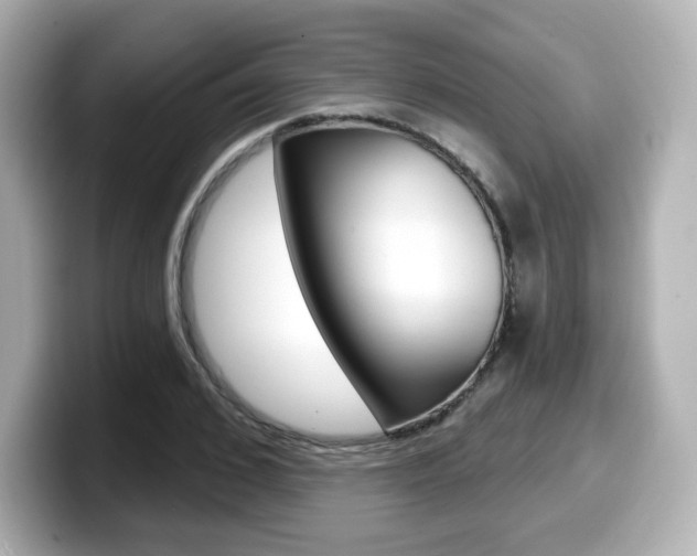 X0000099380976200805081155