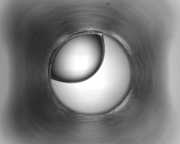 X0000099380977200805081155