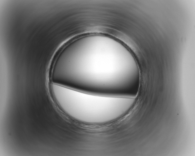 X0000099380980200805081155