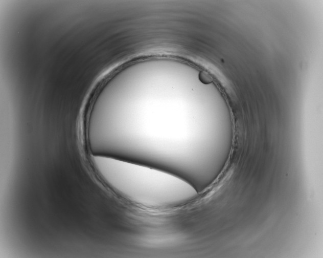 X0000099380982200805081155