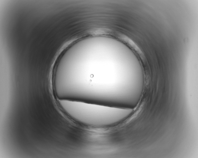 X0000099380986200805081155
