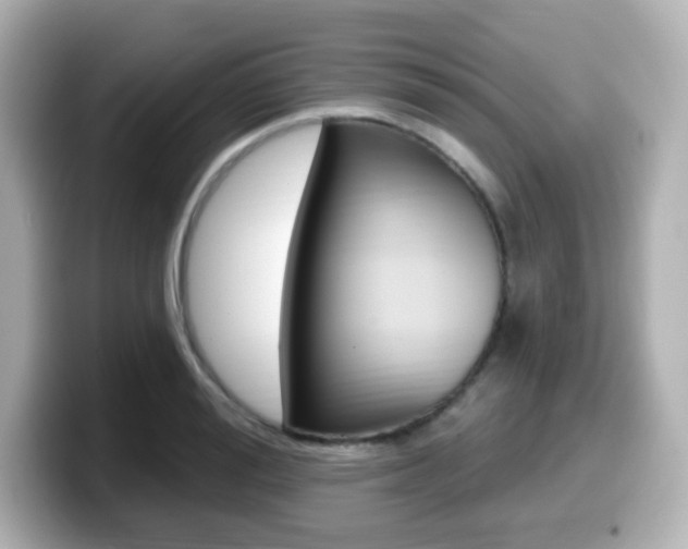 X0000099380988200805081155