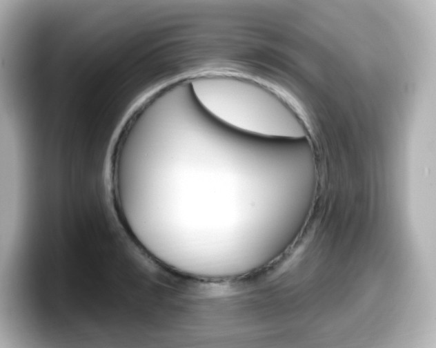 X0000099380990200805081155