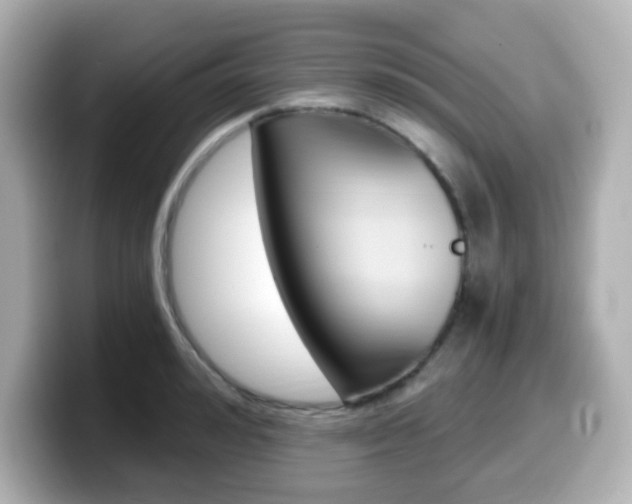 X0000099380992200805081155