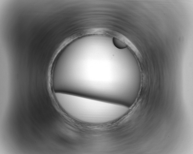 X0000099380994200805081155