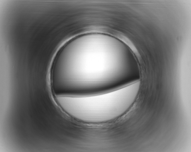 X0000099380996200805081155