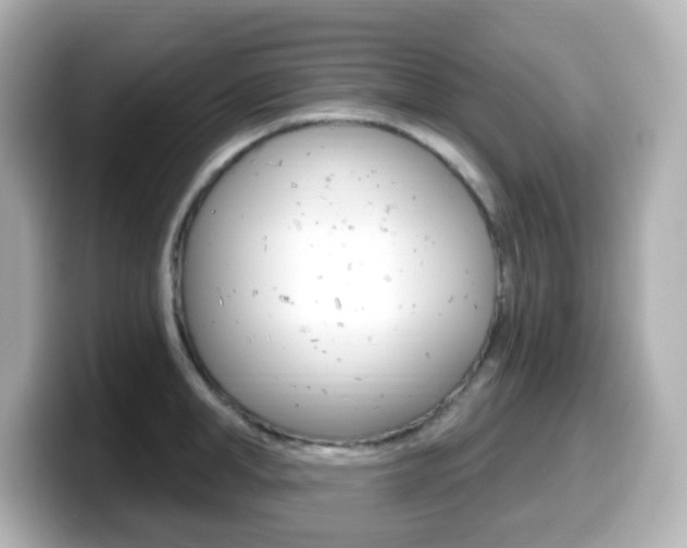 X0000099380998200805081155