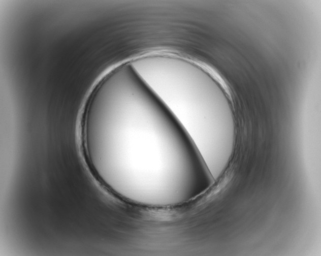 X0000099380999200805081155
