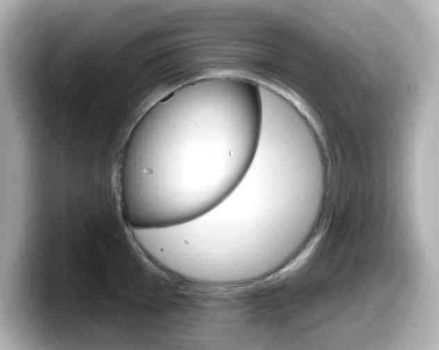 X0000099381001200805081155