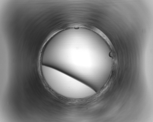 X0000099381002200805081155