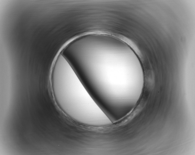 X0000099381004200805081155