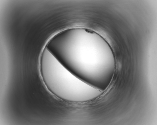 X0000099381006200805081155
