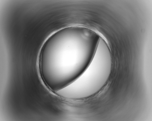 X0000099381007200805081155