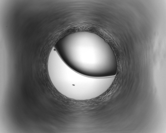 X0000099381010200805081154