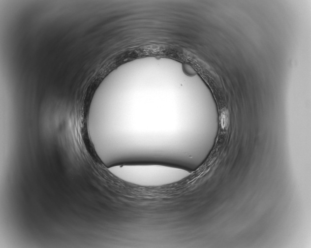X0000099381011200805081154