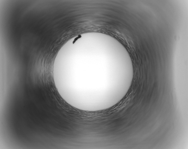 X0000099381012200805081154