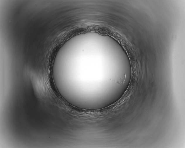 X0000099381013200805081154