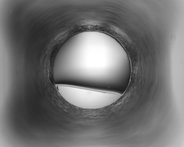 X0000099381014200805081155