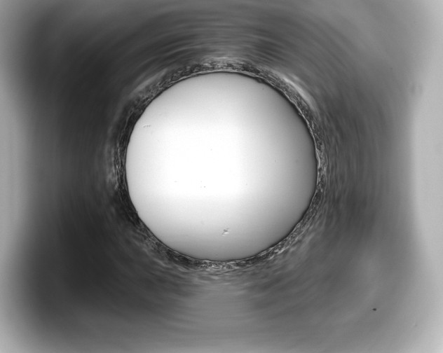 X0000099381015200805081155