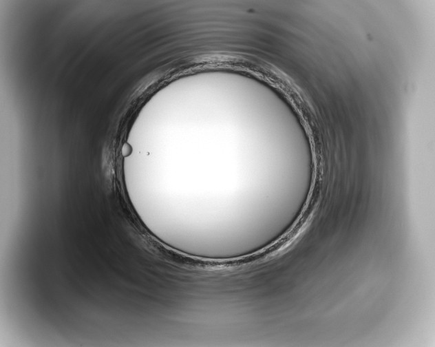 X0000099381017200805081155