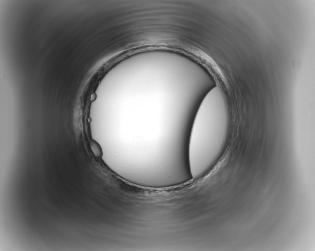 X0000099381019200805081155