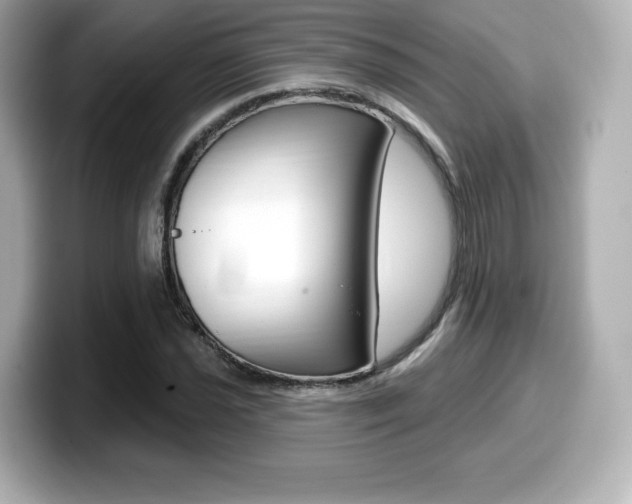 X0000099381021200805081155