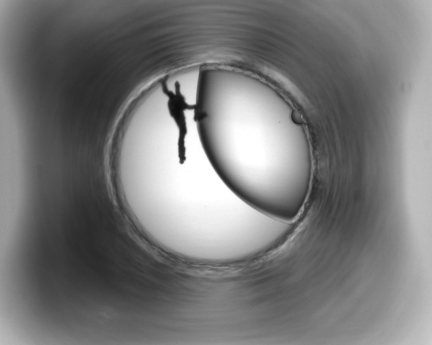 X0000099381026200805081155