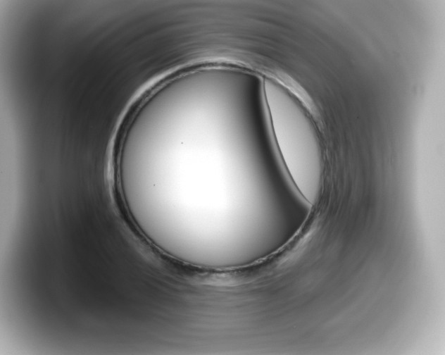 X0000099381028200805081155