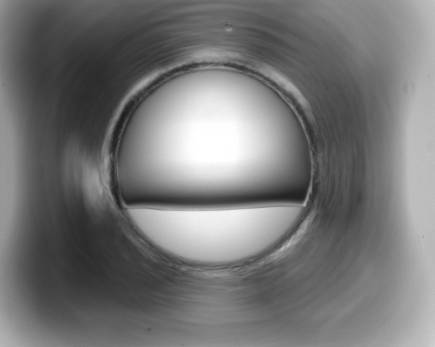 X0000099381029200805081155